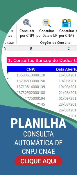 Planilha-de-consulta-de-CNPJ-em-massa-CNAE